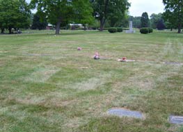 Ruth Barron, Grave Site, July, 2010 (Source: Benjamin)
