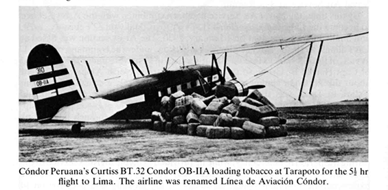 Curtiss Condor of Linea de Aviacion Condor Tampa (Source: Davies via Woodling)