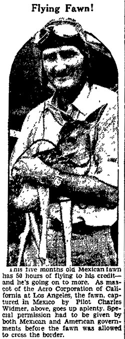 Mascot Transport, The Decatur Review (IL), September 21, 1929 (Source: Web) 